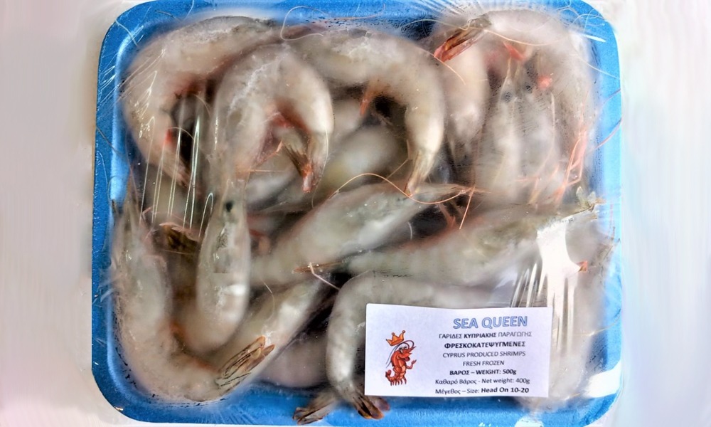 Shock Frozen Shrimps (SMALL 10CM) - Sea Queen